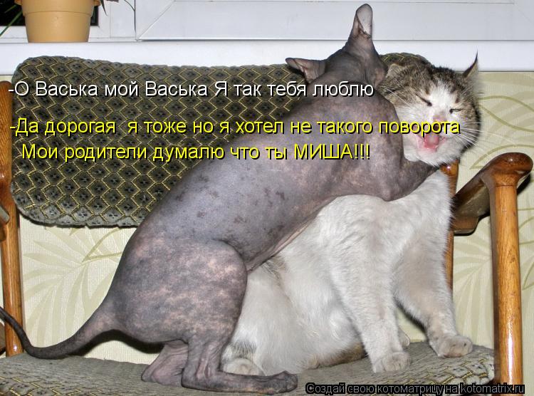 -О Васька мой Васька Я так тебя люблю -Да дорогая я тоже но я хотел не такого поворота Мои родители... Котоматрица: -О Васька мой Васька Я так тебя люблю -Да дорогая я тоже но я хотел не такого поворота Мои родители думалю что ты МИША!!!