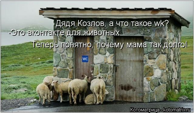 Дядя Козлов, а что такое wk? -Это вконтакте для животных Теперь понятно, почему мама так долго!... Котоматрица: Дядя Козлов, а что такое wk? -Это вконтакте для животных Теперь понятно, почему мама так долго!