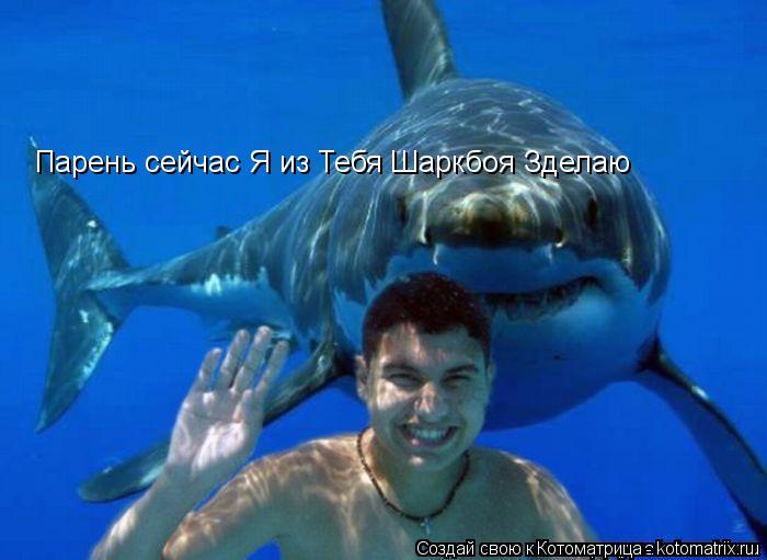 Парень сейчас Я из Тебя Шаркбоя Зделаю... Котоматрица: Парень сейчас Я из Тебя Шаркбоя Зделаю
