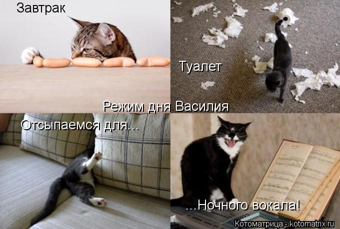 Режим дня Василия Завтрак Туалет Отсыпаемся для... ...Ночного вокала!... Котоматрица: Режим дня Василия Завтрак Туалет Отсыпаемся для... ...Ночного вокала!