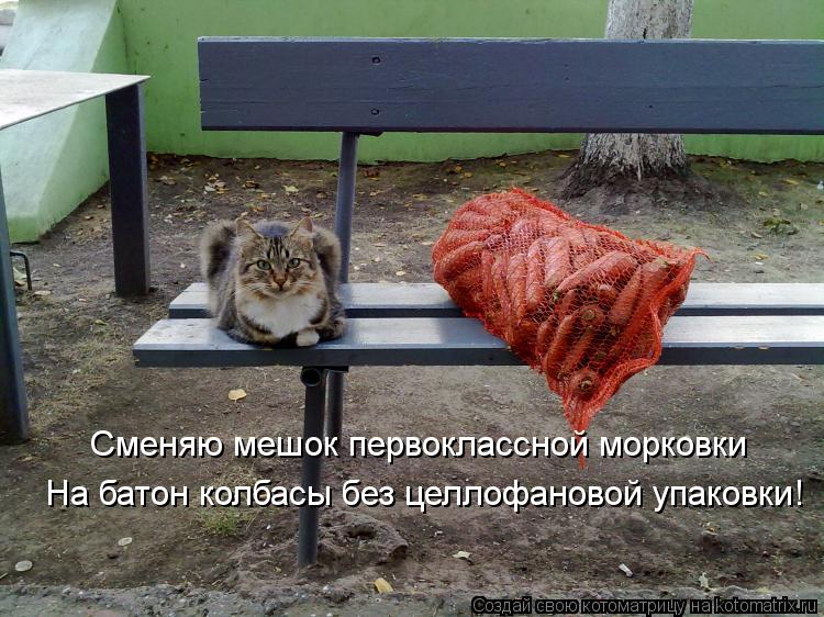 На батон колбасы без целлофановой упаковки! Сменяю мешок первоклассной морковки... Котоматрица: На батон колбасы без целлофановой упаковки! Сменяю мешок первоклассной морковки