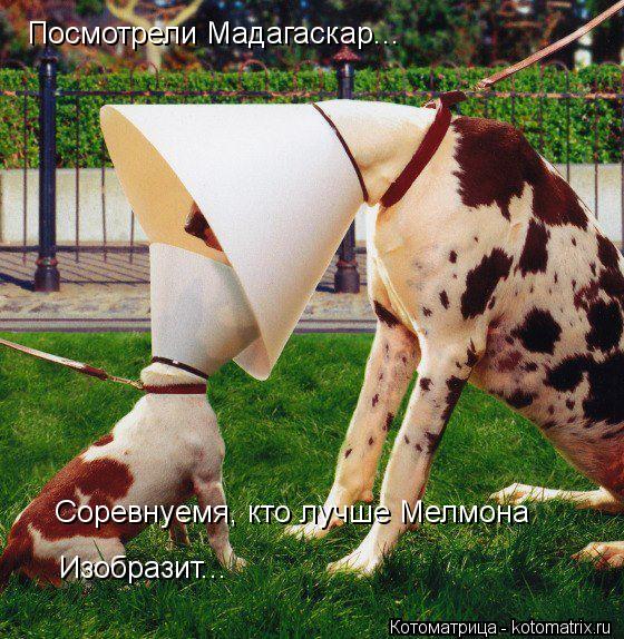 Посмотрели Мадагаскар... Соревнуемя, кто лучше Мелмона Изобразит...... Котоматрица: Посмотрели Мадагаскар... Соревнуемя, кто лучше Мелмона Изобразит...