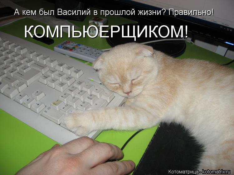 А кем был Василий в прошлой жизни? Правильно! КОМПЬЮЕРЩИКОМ!... Котоматрица: А кем был Василий в прошлой жизни? Правильно! КОМПЬЮЕРЩИКОМ!