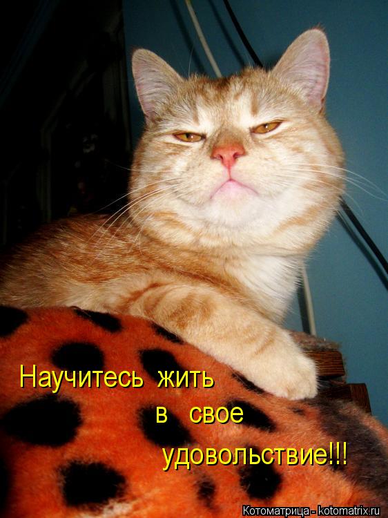 Научитесь жить в свое удовольствие!!!... Котоматрица: Научитесь жить в свое удовольствие!!!