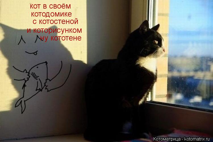 кот в своём котодомике с котостеной и которисунком ну кототене... Котоматрица: кот в своём котодомике с котостеной и которисунком ну кототене