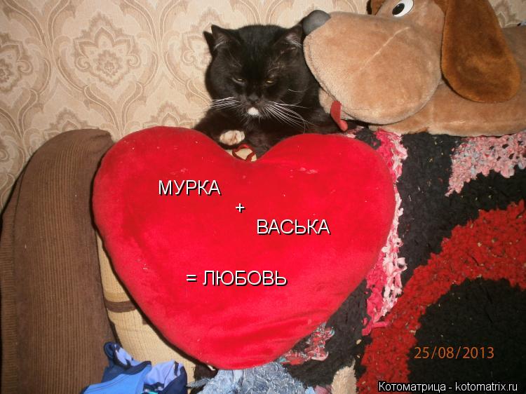 МУРКА + ВАСЬКА = ЛЮБОВЬ... Котоматрица: МУРКА + ВАСЬКА = ЛЮБОВЬ