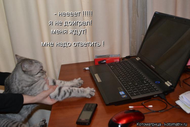 мне надо ответить ! я не доиграл! меня ждут! - неееет !!!!!... Котоматрица: мне надо ответить ! я не доиграл! меня ждут! - неееет !!!!!