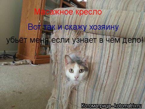 Масажное кресло Вот так и скажу хозяину убьёт меня если узнает в чём дело!... Котоматрица: Масажное кресло Вот так и скажу хозяину убьёт меня если узнает в чём дело!