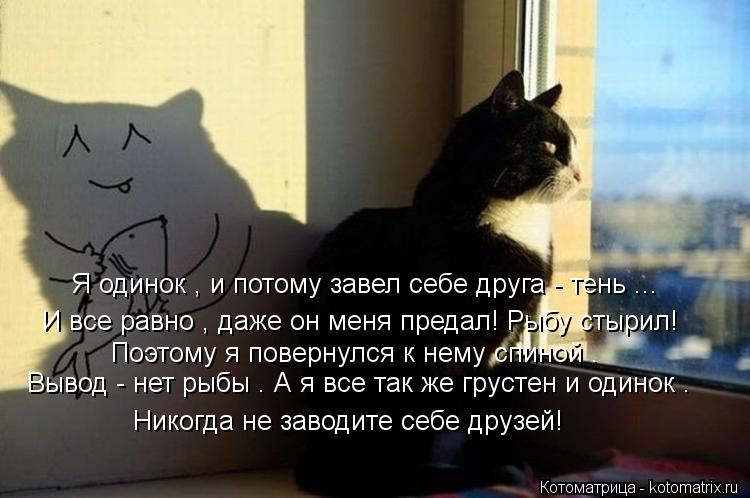 Я одинок , и потому завел себе друга - тень ... И все равно , даже он меня предал! Рыбу стырил! Поэто... Котоматрица: Я одинок , и потому завел себе друга - тень ... И все равно , даже он меня предал! Рыбу стырил! Поэтому я повернулся к нему спиной . Вывод - нет ры