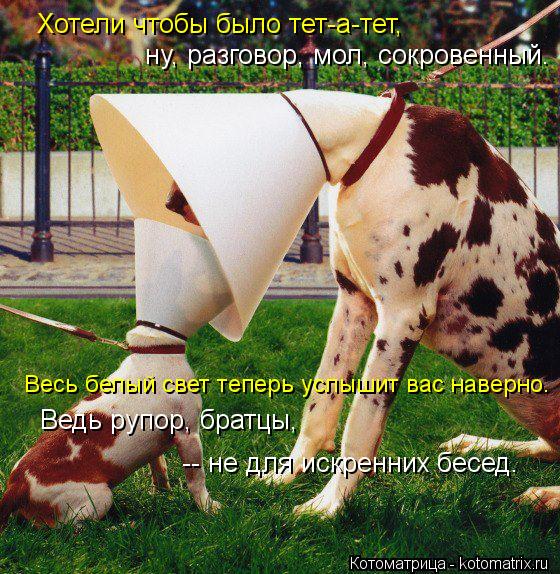 Хотели чтобы было тет-а-тет, ну, разговор, мол, сокровенный. Весь белый свет теперь услышит вас навер... Котоматрица: Хотели чтобы было тет-а-тет, ну, разговор, мол, сокровенный. Весь белый свет теперь услышит вас наверно. Ведь рупор, братцы, -- не для искренних