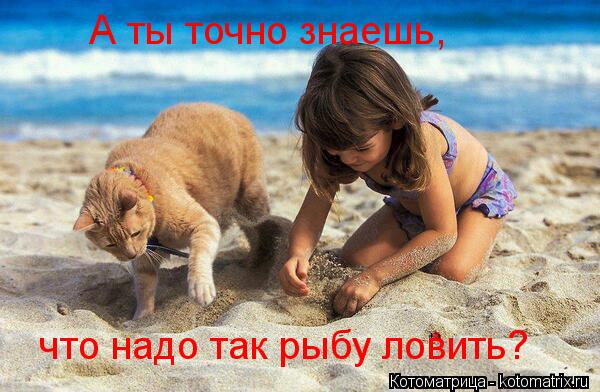 А ты точно знаешь, что надо так рыбу ловить?... Котоматрица: А ты точно знаешь, что надо так рыбу ловить?