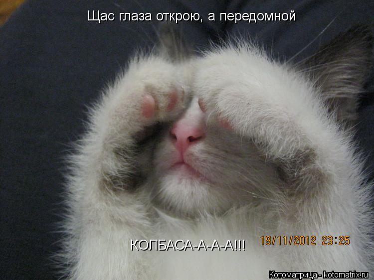 Щас глаза открою, а передомной КОЛБАСА-А-А-А!!!... Котоматрица: Щас глаза открою, а передомной КОЛБАСА-А-А-А!!!