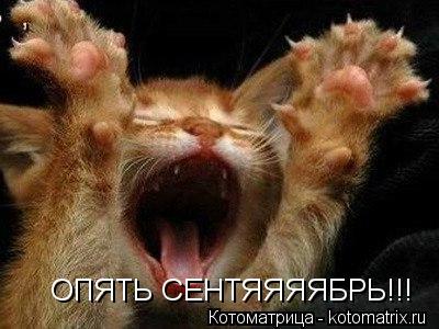 ОПЯТЬ СЕНТЯЯЯЯБРЬ!!!... Котоматрица: ОПЯТЬ СЕНТЯЯЯЯБРЬ!!!