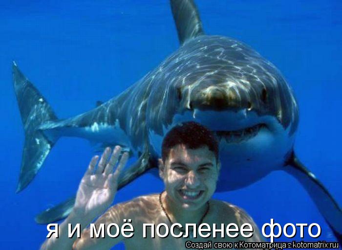 Котоматрица: я и моё посленее фото