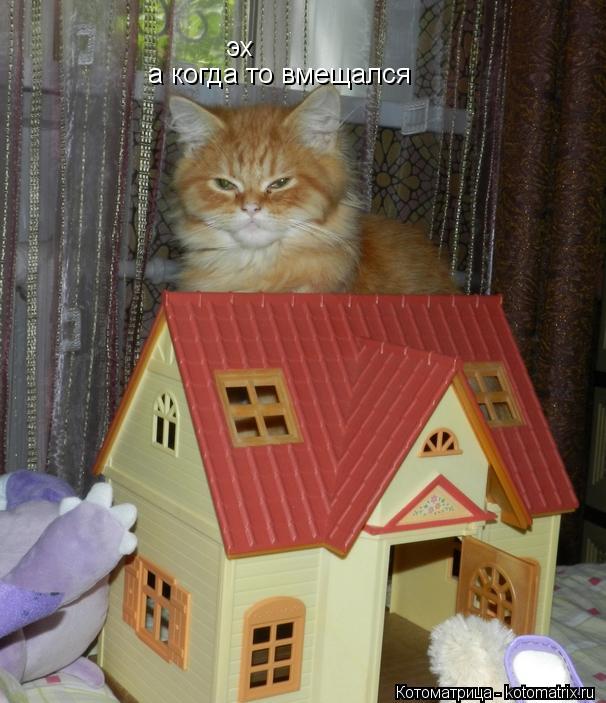 эх а когда то вмещался... Котоматрица: эх а когда то вмещался