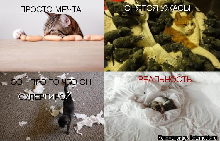 СНЯТСЯ УЖАСЫ ПРОСТО МЕЧТА СОН ПРО ТО ЧТО ОН СУПЕРГИРОЙ РЕАЛЬНОСТЬ... Котоматрица: СНЯТСЯ УЖАСЫ ПРОСТО МЕЧТА СОН ПРО ТО ЧТО ОН СУПЕРГИРОЙ РЕАЛЬНОСТЬ