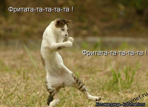 Фритата-та-та-та-та ! Фритата-та-та-та-та !... Котоматрица: Фритата-та-та-та-та ! Фритата-та-та-та-та !