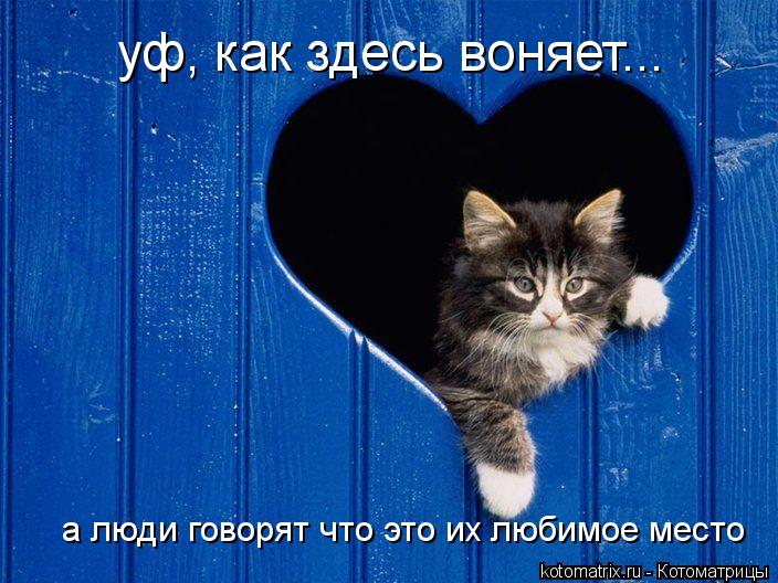 уф, как здесь воняет... а люди говорят что это их любимое место... Котоматрица: уф, как здесь воняет... а люди говорят что это их любимое место