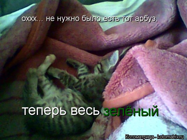 оххх... не нужно было есть тот арбуз, теперь весь зелёный... Котоматрица: оххх... не нужно было есть тот арбуз, теперь весь зелёный