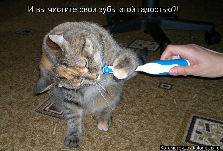 И вы чистите свои зубы этой гадостью?!... Котоматрица: И вы чистите свои зубы этой гадостью?!