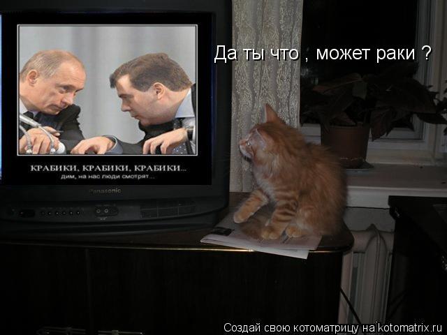 Да ты что , может раки ?... Котоматрица: Да ты что , может раки ?