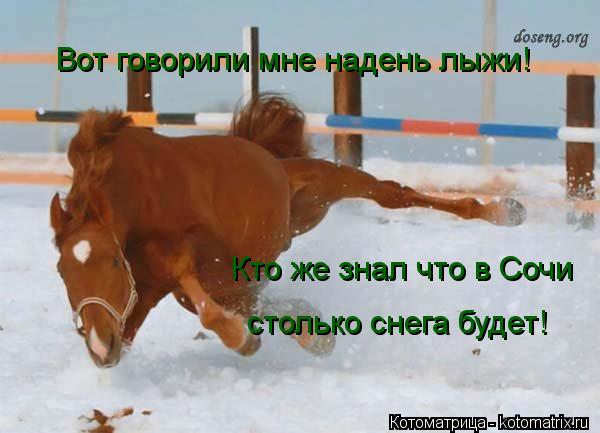 Вот говорили мне надень лыжи! Кто же знал что в Сочи столько снега будет!... Котоматрица: Вот говорили мне надень лыжи! Кто же знал что в Сочи столько снега будет!