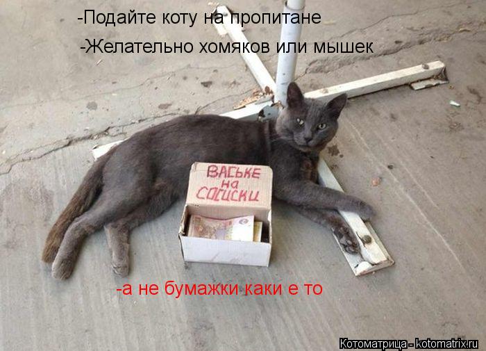 -Подайте коту на пропитане -Желательно хомяков или мышек -а не бумажки каки е то... Котоматрица: -Подайте коту на пропитане -Желательно хомяков или мышек -а не бумажки каки е то