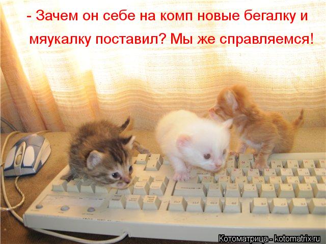 мяукалку поставил? Мы же справляемся! - Зачем он себе на комп новые бегалку и... Котоматрица: мяукалку поставил? Мы же справляемся! - Зачем он себе на комп новые бегалку и