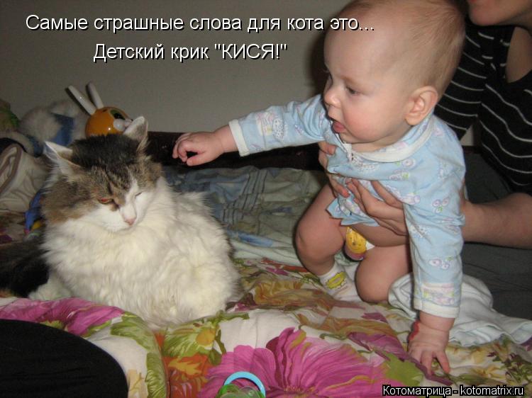 Самые страшные слова для кота это... Детский крик "КИСЯ!"... Котоматрица: Самые страшные слова для кота это... Детский крик "КИСЯ!"