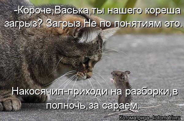 -Короче,Васька,ты нашего кореша загрыз? Загрыз.Не по понятиям это. Накосячил-приходи на разборки,в ... Котоматрица: -Короче,Васька,ты нашего кореша загрыз? Загрыз.Не по понятиям это. Накосячил-приходи на разборки,в полночь,за сараем.