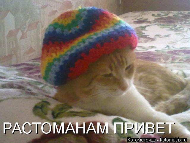 РАСТОМАНАМ ПРИВЕТ... Котоматрица: РАСТОМАНАМ ПРИВЕТ