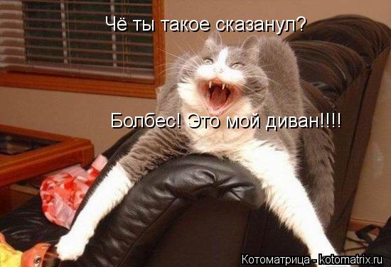 Чё ты такое сказанул? Болбес! Это мой диван!!!!... Котоматрица: Чё ты такое сказанул? Болбес! Это мой диван!!!!