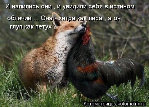 И напились они , и увидили себя в истином обличии ... Она - хитра как лиса , а он глуп как петух .... Котоматрица: И напились они , и увидили себя в истином обличии ... Она - хитра как лиса , а он глуп как петух .