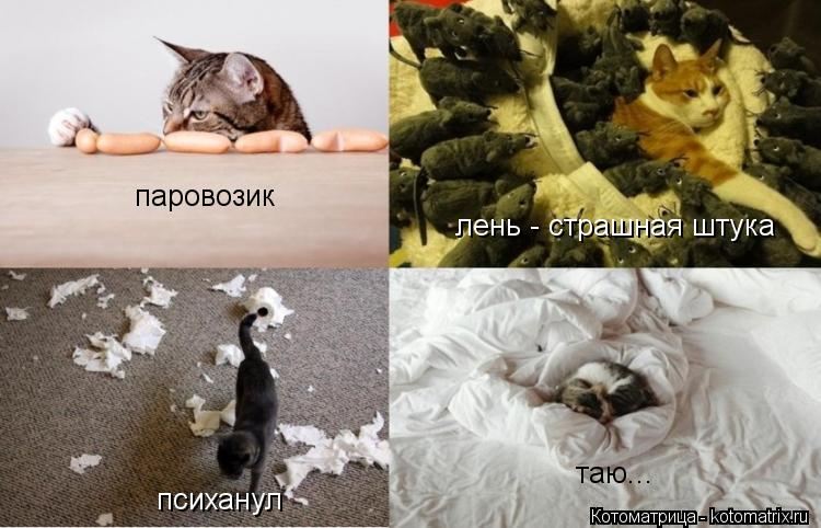 паровозик лень - страшная штука психанул таю...... Котоматрица: паровозик лень - страшная штука психанул таю...
