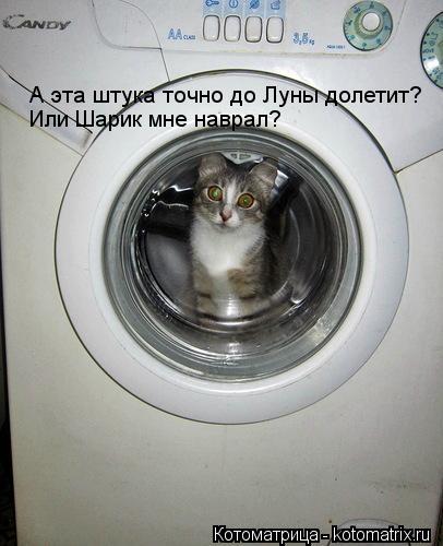 Котоматрица: А эта штука точно до Луны долетит? Или Шарик мне наврал?