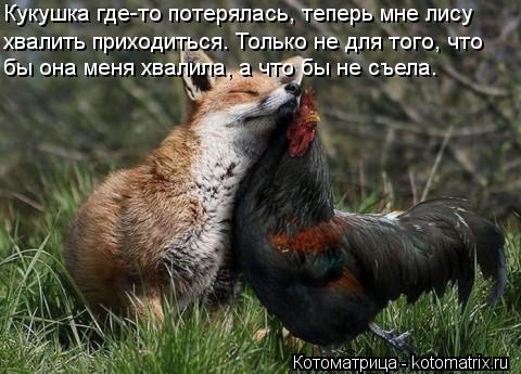 Кукушка где-то потерялась, теперь мне лису хвалить приходиться. Только не для того, что бы она меня х... Котоматрица: Кукушка где-то потерялась, теперь мне лису хвалить приходиться. Только не для того, что бы она меня хвалила, а что бы не съела.
