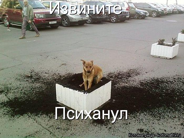 Извините Психанул... Котоматрица: Извините Психанул
