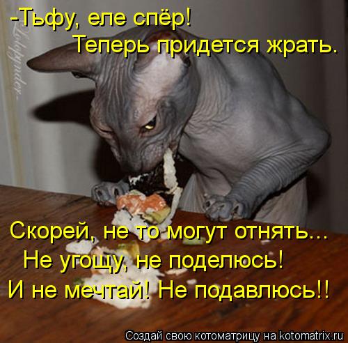 -Тьфу, еле спёр! Теперь придется жрать. Скорей, не то могут отнять... Не угощу, не поделюсь! И не ме... Котоматрица: -Тьфу, еле спёр! Теперь придется жрать. Скорей, не то могут отнять... Не угощу, не поделюсь! И не мечтай! Не подавлюсь!!
