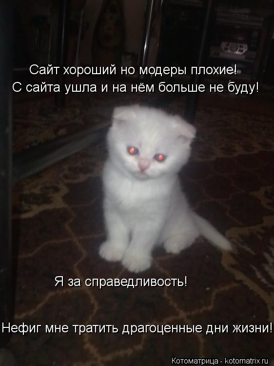 Сайт хороший но модеры плохие! С сайта ушла и на нём больше не буду! Я за справедливость! Нефиг мне т... Котоматрица: Сайт хороший но модеры плохие! С сайта ушла и на нём больше не буду! Я за справедливость! Нефиг мне тратить драгоценные дни жизни!