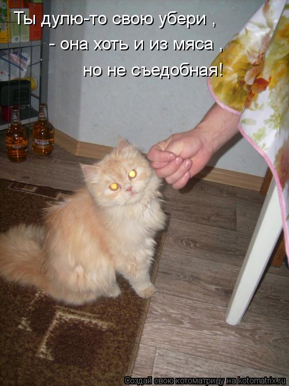 Ты дулю-то свою убери , - она хоть и из мяса , но не съедобная!... Котоматрица: Ты дулю-то свою убери , - она хоть и из мяса , но не съедобная!