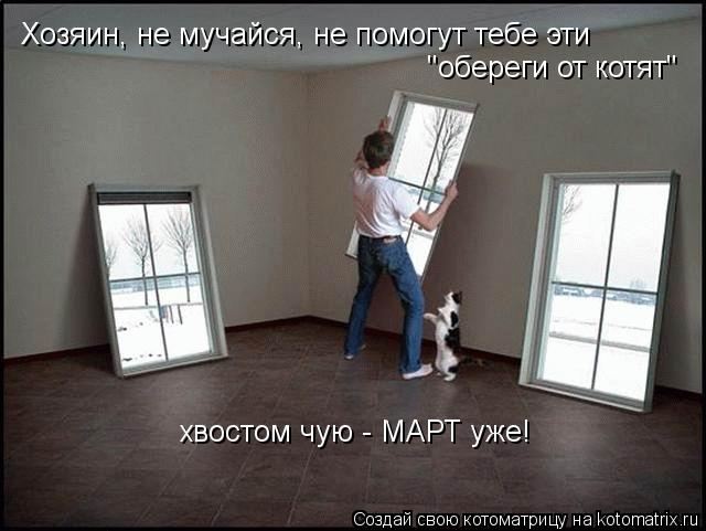 Хозяин, не мучайся, не помогут тебе эти "обереги от котят" хвостом чую - МАРТ уже!... Котоматрица: Хозяин, не мучайся, не помогут тебе эти "обереги от котят" хвостом чую - МАРТ уже!