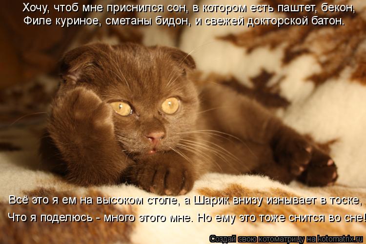 Хочу, чтоб мне приснился сон, в котором есть паштет, бекон, Филе куриное, сметаны бидон, и свежей док... Котоматрица: Хочу, чтоб мне приснился сон, в котором есть паштет, бекон, Филе куриное, сметаны бидон, и свежей докторской батон. Всё это я ем на высоком сто