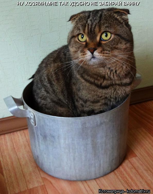 НУ ХОЗЯИН,МНЕ ТАК УДОБНО НЕ ЗАБИРАЙ ВАННУ... Котоматрица: НУ ХОЗЯИН,МНЕ ТАК УДОБНО НЕ ЗАБИРАЙ ВАННУ