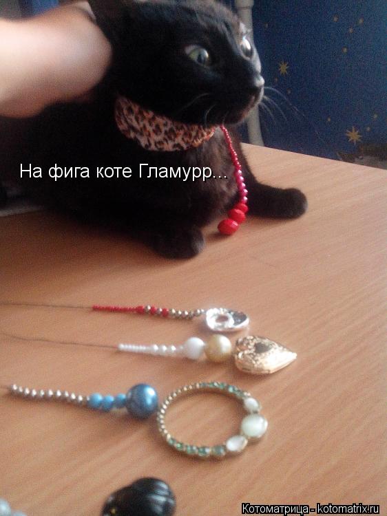 На фига коте Гламурр...... Котоматрица: На фига коте Гламурр...