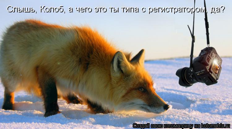 Слышь, Колоб, а чего это ты типа с регистратором, да?... Котоматрица: Слышь, Колоб, а чего это ты типа с регистратором, да?