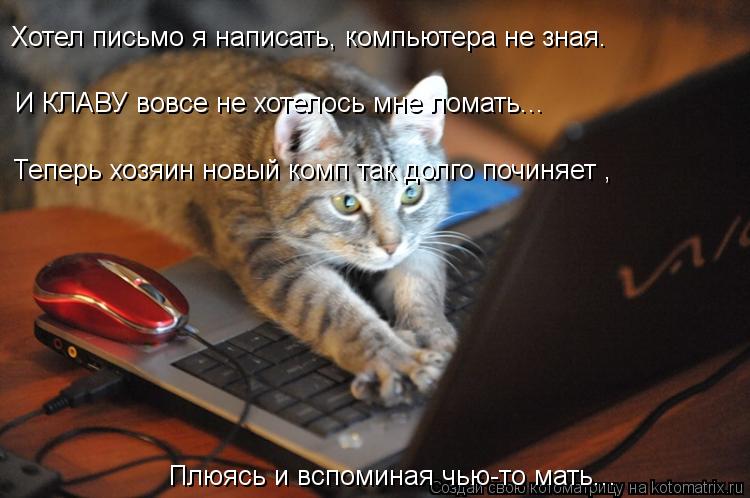 Хотел письмо я написать, компьютера не зная. Плюясь и вспоминая чью-то мать... И КЛАВУ вовсе не хотел... Котоматрица: Хотел письмо я написать, компьютера не зная. Плюясь и вспоминая чью-то мать... И КЛАВУ вовсе не хотелось мне ломать... Теперь хозяин новый комп