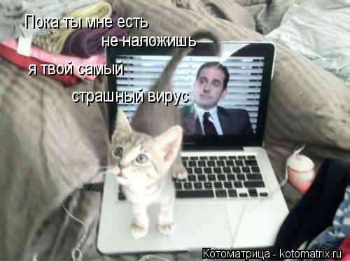 Пока ты мне есть не наложишь я твой самый страшный вирус... Котоматрица: Пока ты мне есть не наложишь я твой самый страшный вирус