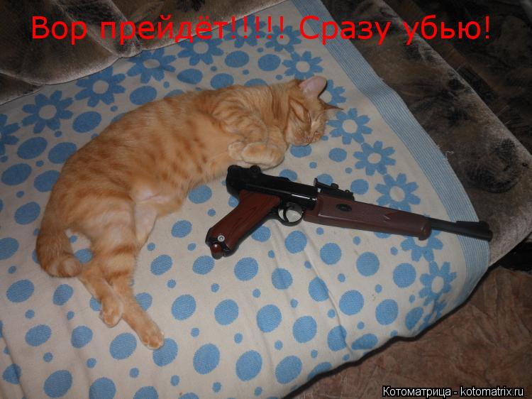 Вор прейдёт!!!!! Сразу убью!... Котоматрица: Вор прейдёт!!!!! Сразу убью!