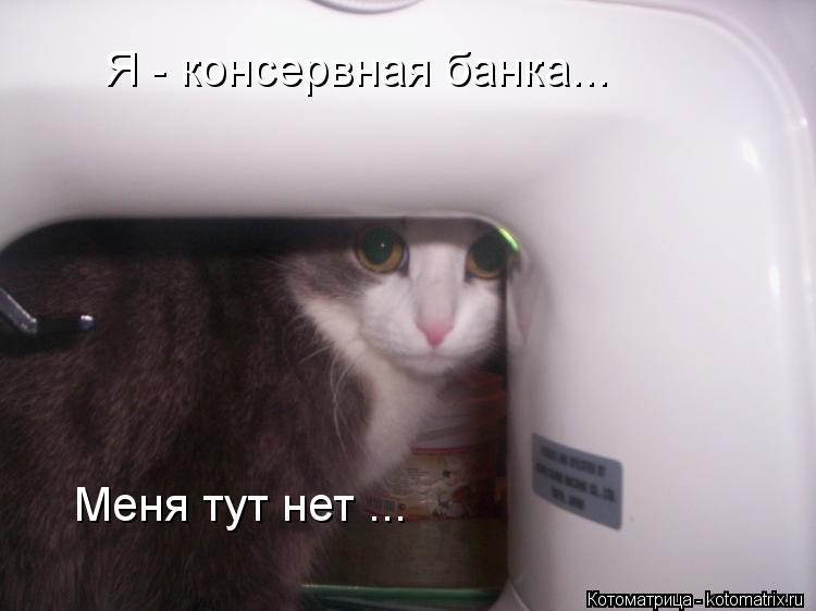 Я - консервная банка... Меня тут нет ...... Котоматрица: Я - консервная банка... Меня тут нет ...