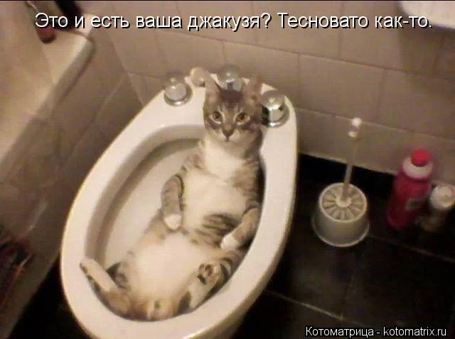 Котоматрица: Это и есть ваша джакузя? Тесновато как-то.